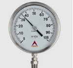 Stainless Steel Temperature Gauge in India